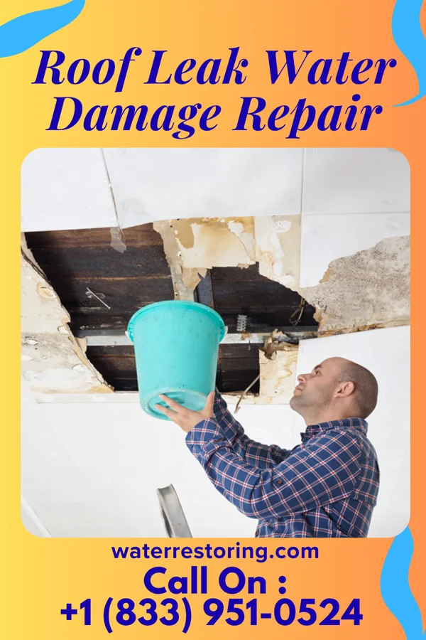 Roof Leak Water Damage Repair in Nezperce, ID