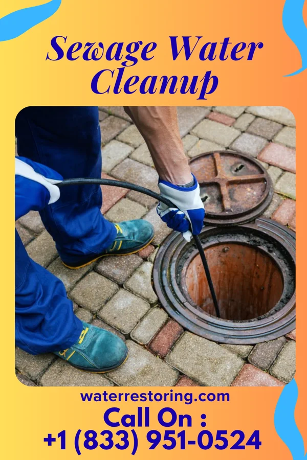 Sewage Water Cleanup in Nezperce, ID
